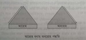 বিতর্কের তত্ত্বীয় দিক